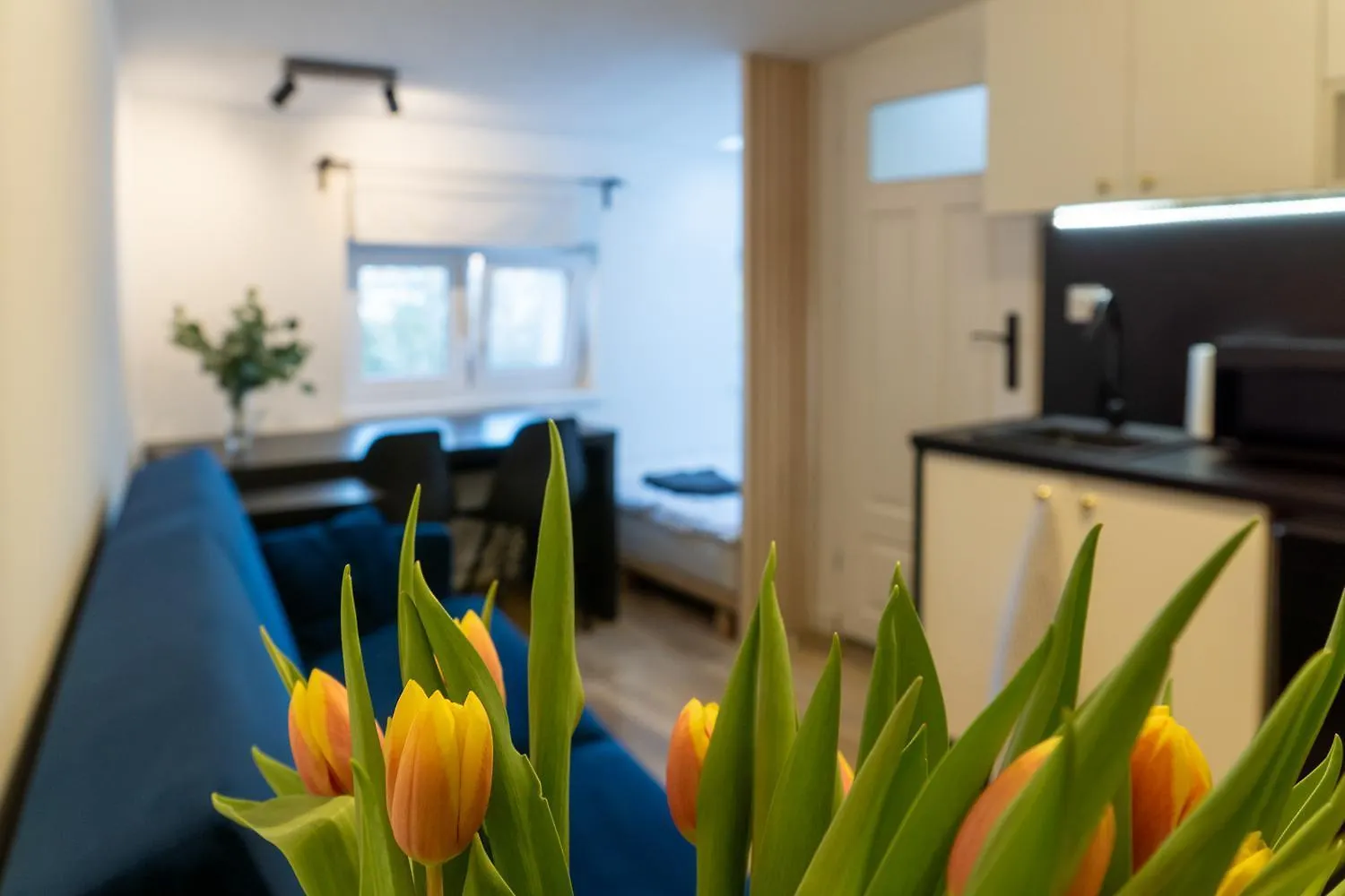 Mieszkanie Przy Bazarku - Apc Apartments Poznań